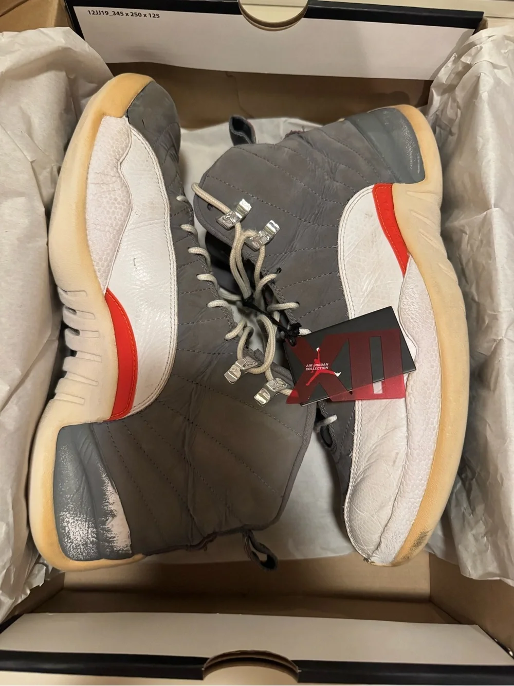 Nike Air Jordan 12 Retro